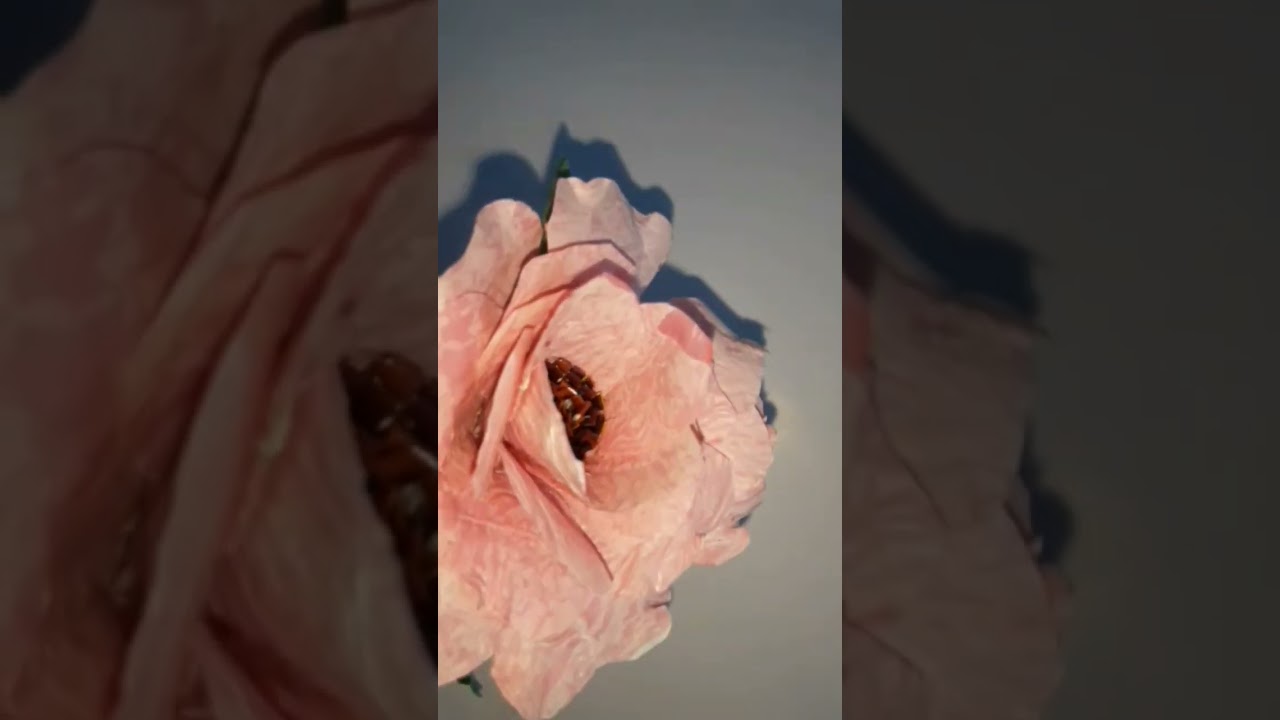 Mawar warna-warni dari kresek dengan tangkai dari ranting pohon mllinjo 