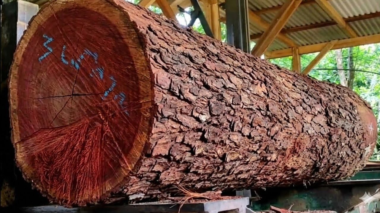 🌲Техника распиловки бревен на доски с помощью косого среза🌲