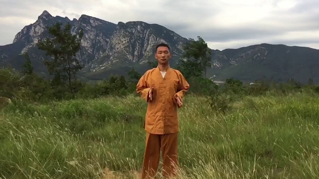 Li Hufei demonstrating Lohan ShiBa Shou (18 Hands)