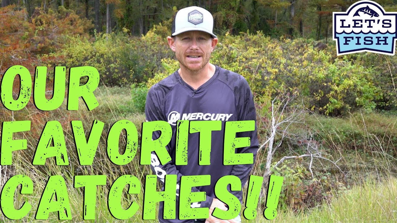 GOODBYE TO 2023!  39-2023  SouthWEST