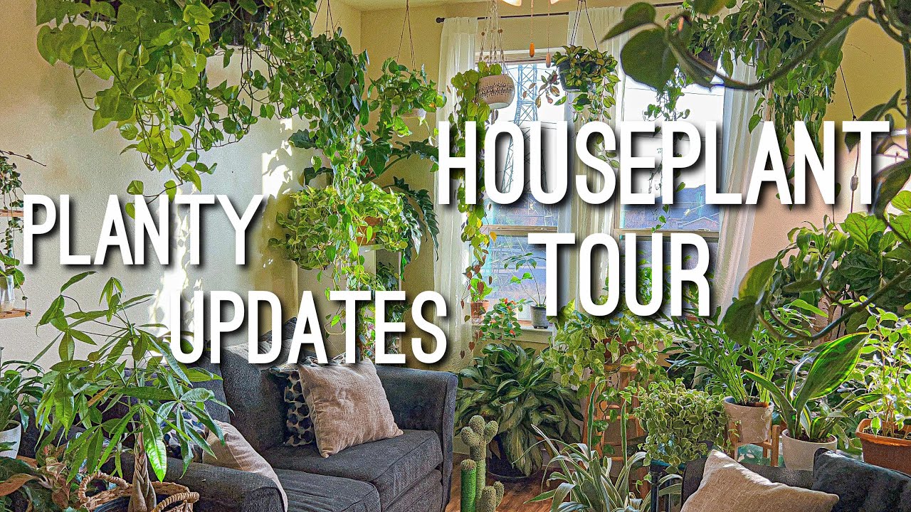 Living Room Jungle Tour | Houseplant Updates 🪴 | Apartment Plant Tour