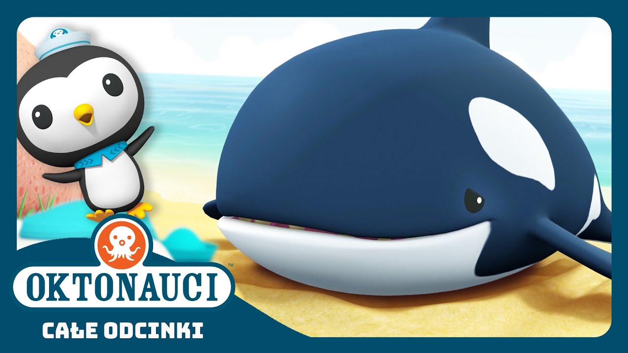 Oktonauci - 🏝️ Orki 🐳 | Cały odcinek 3 | Seria 1