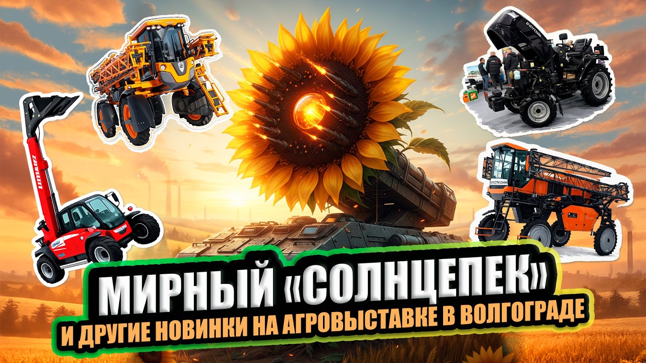 Обзор выставки 