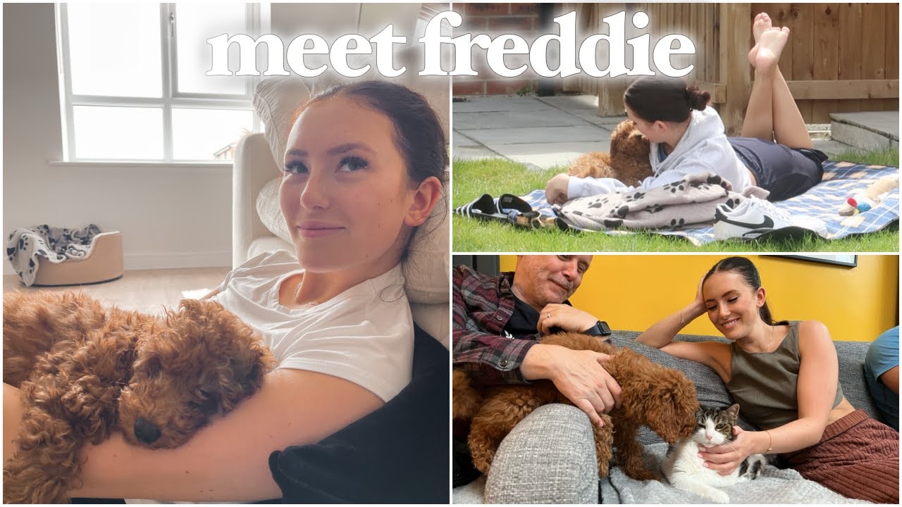 MEET FREDDIE! spend the week with us 🐶🤍 | Hannah Renée