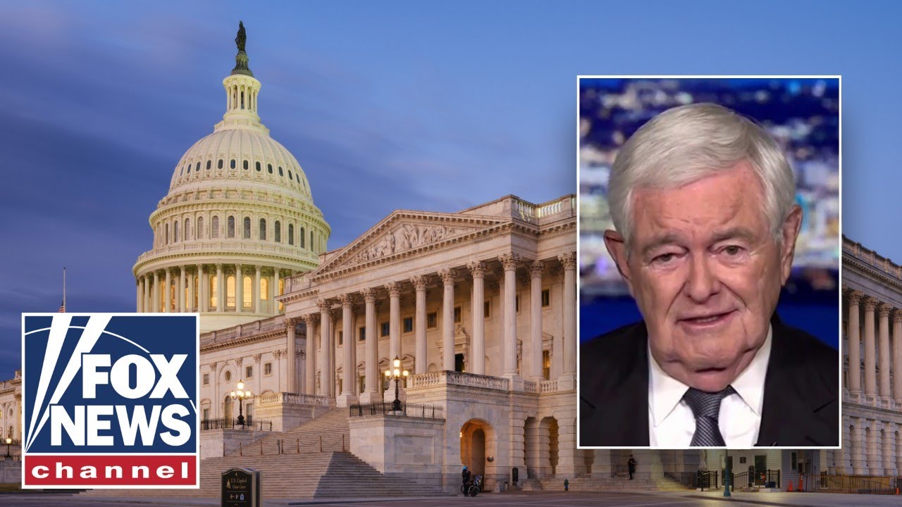 Gingrich: This is the 'DUMBEST strategy' I've seen in a long time
