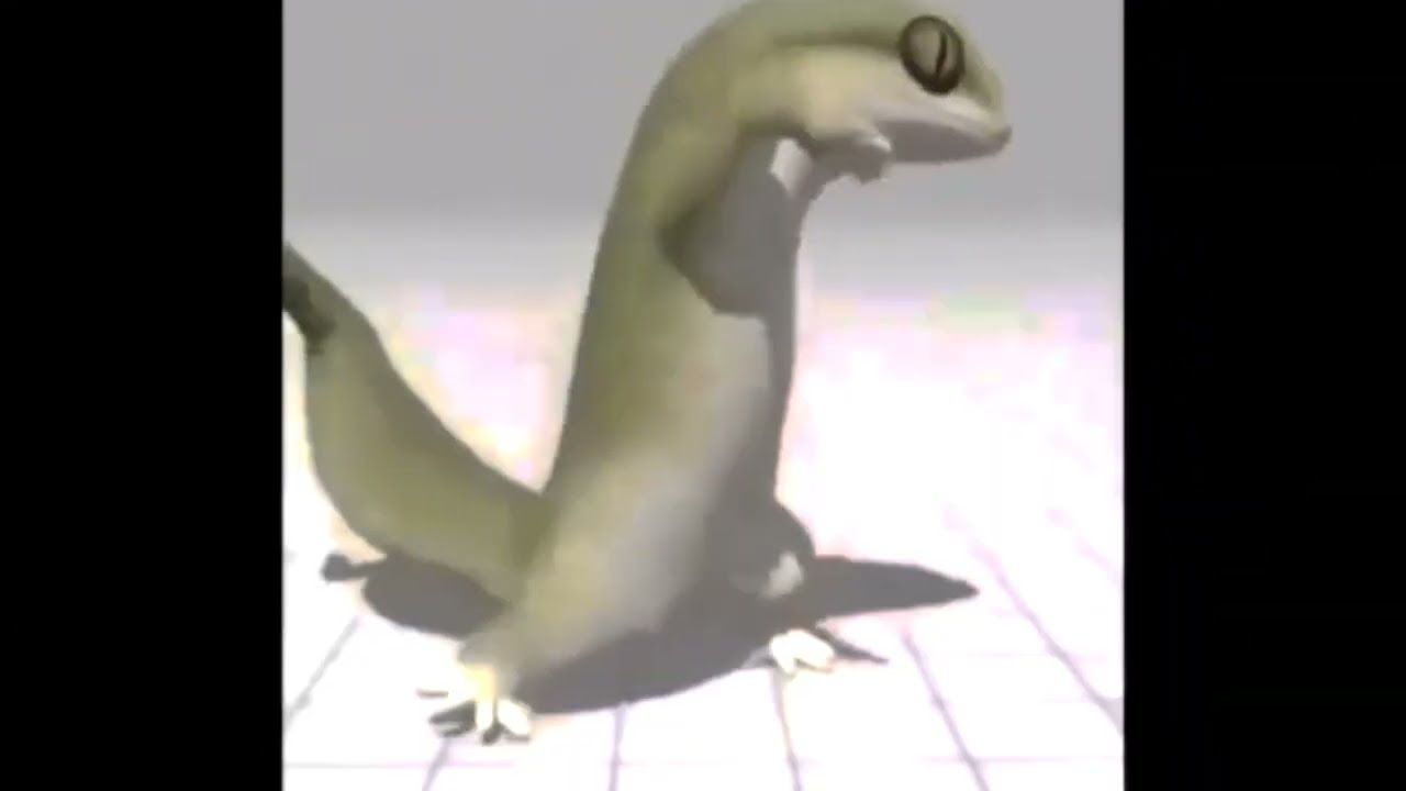 Dancing Gecko hears 