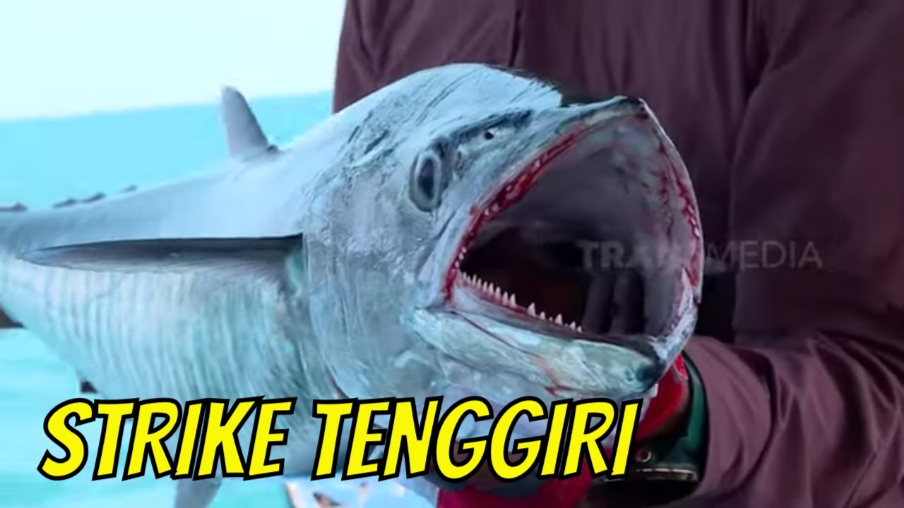 Berburu Strike Tenggiri di Laut Semarang | MANCING MANIA STRIKE BACK (07/10/23) Part 1