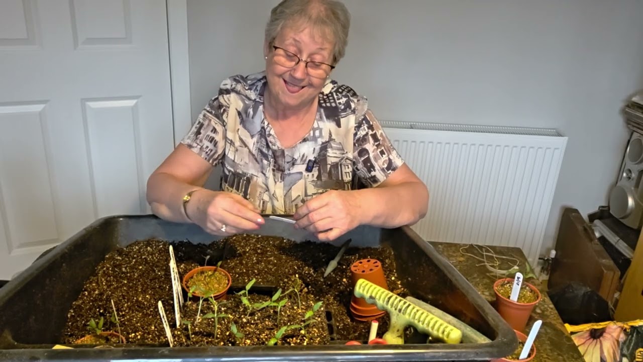 How did those pepper and chilli seeds do?