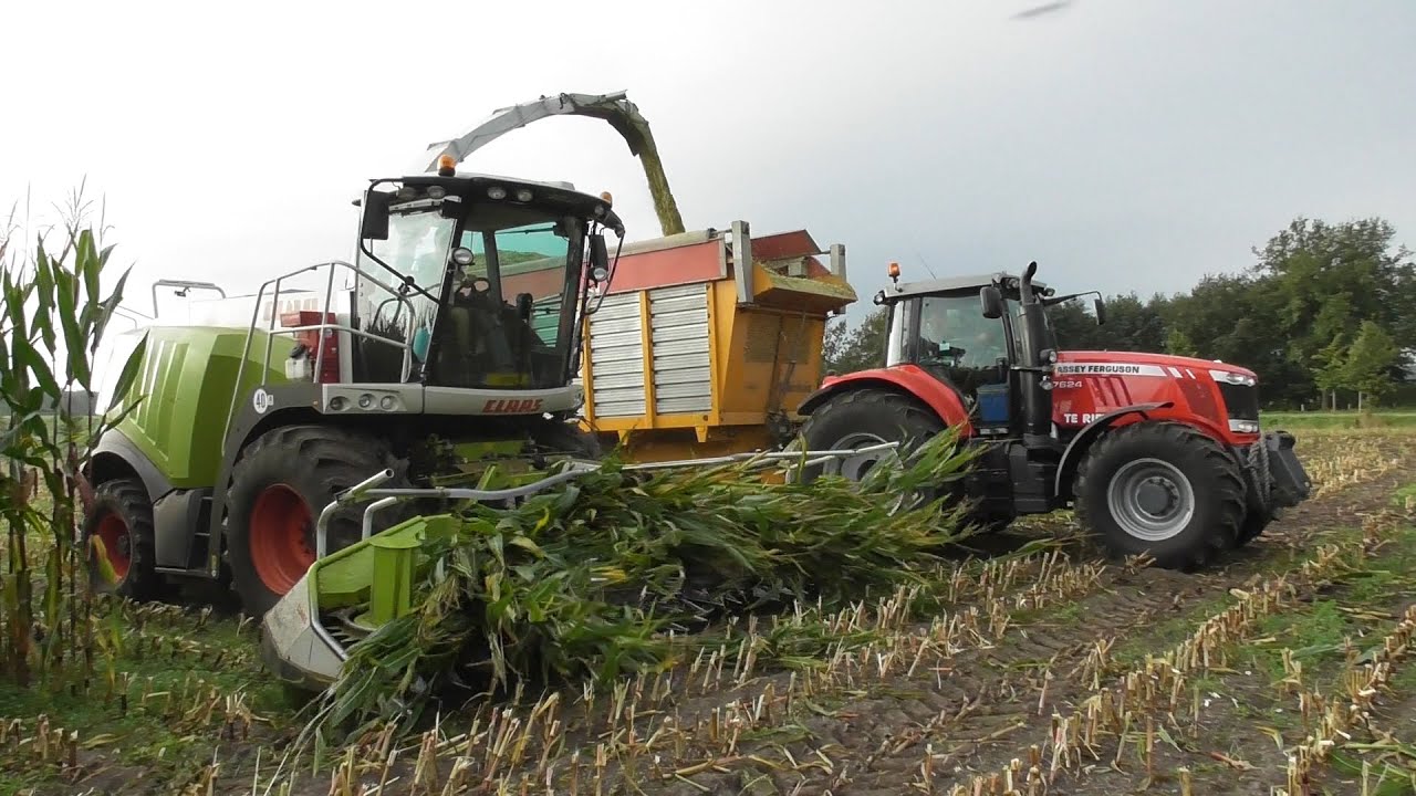 Te Riet chopping corn