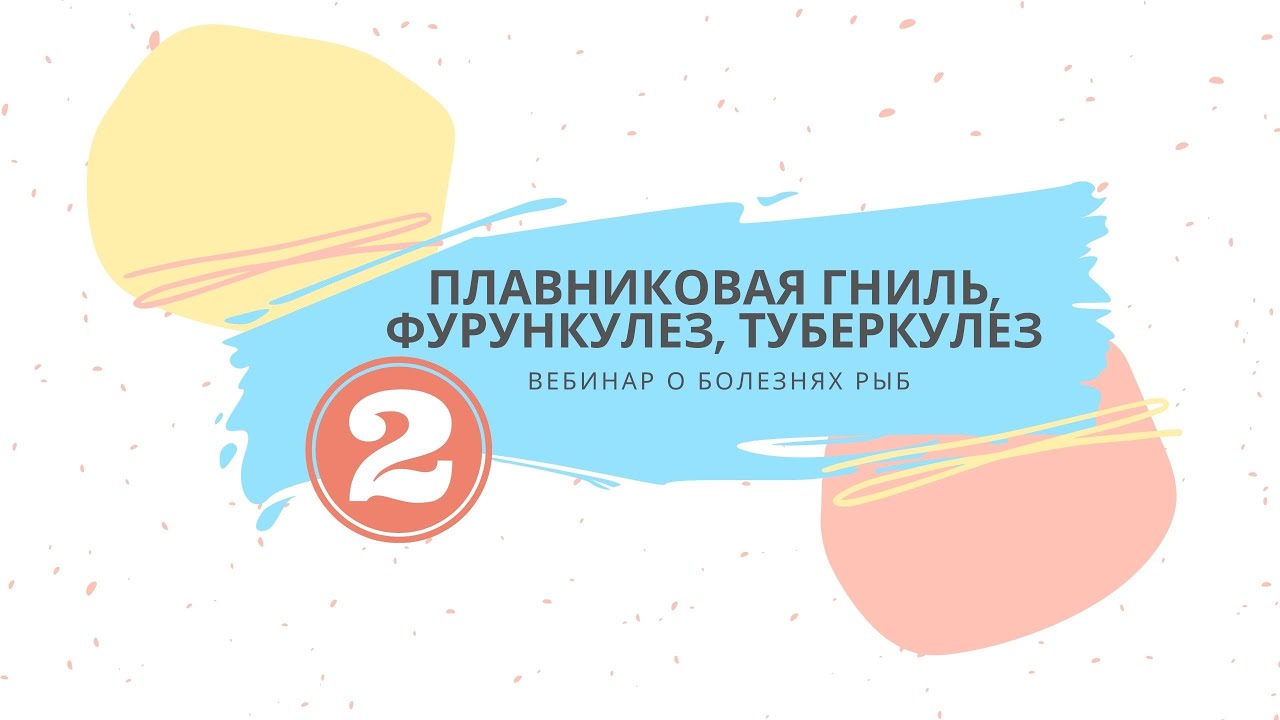 Вебинар №2 о болезнях рыб.
