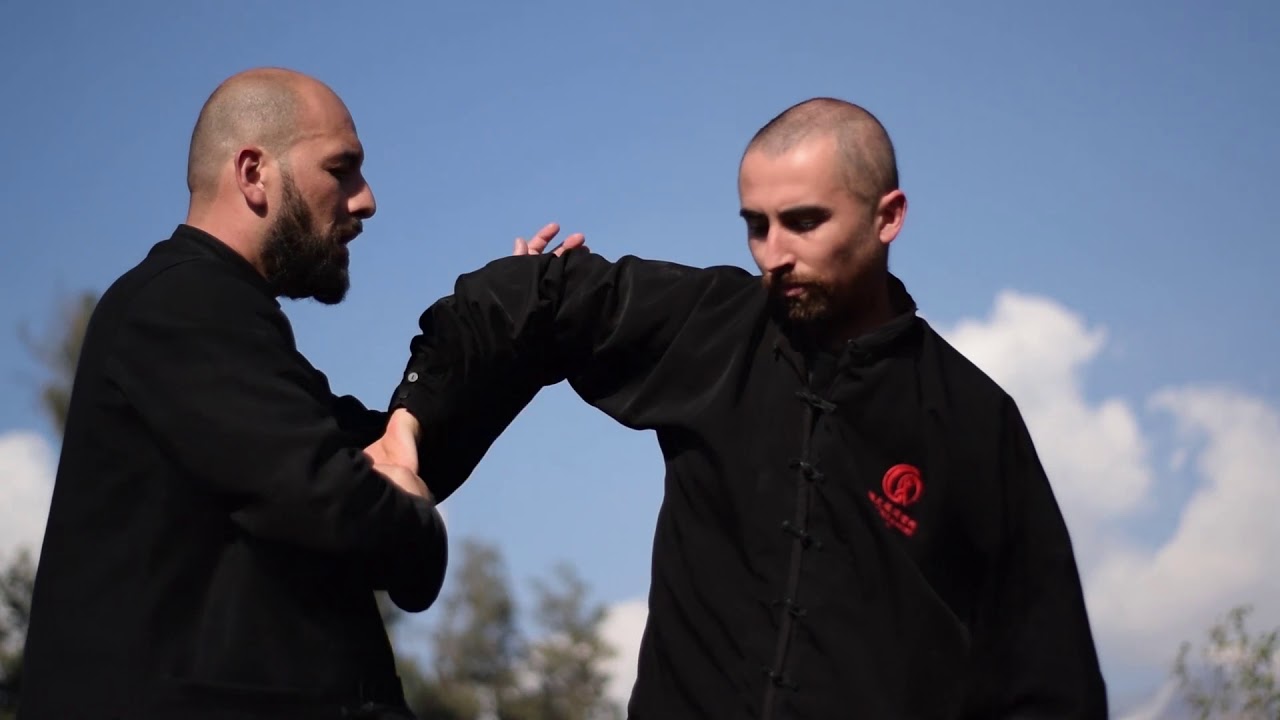 Chen Bing Taiji Academy Chile 2019