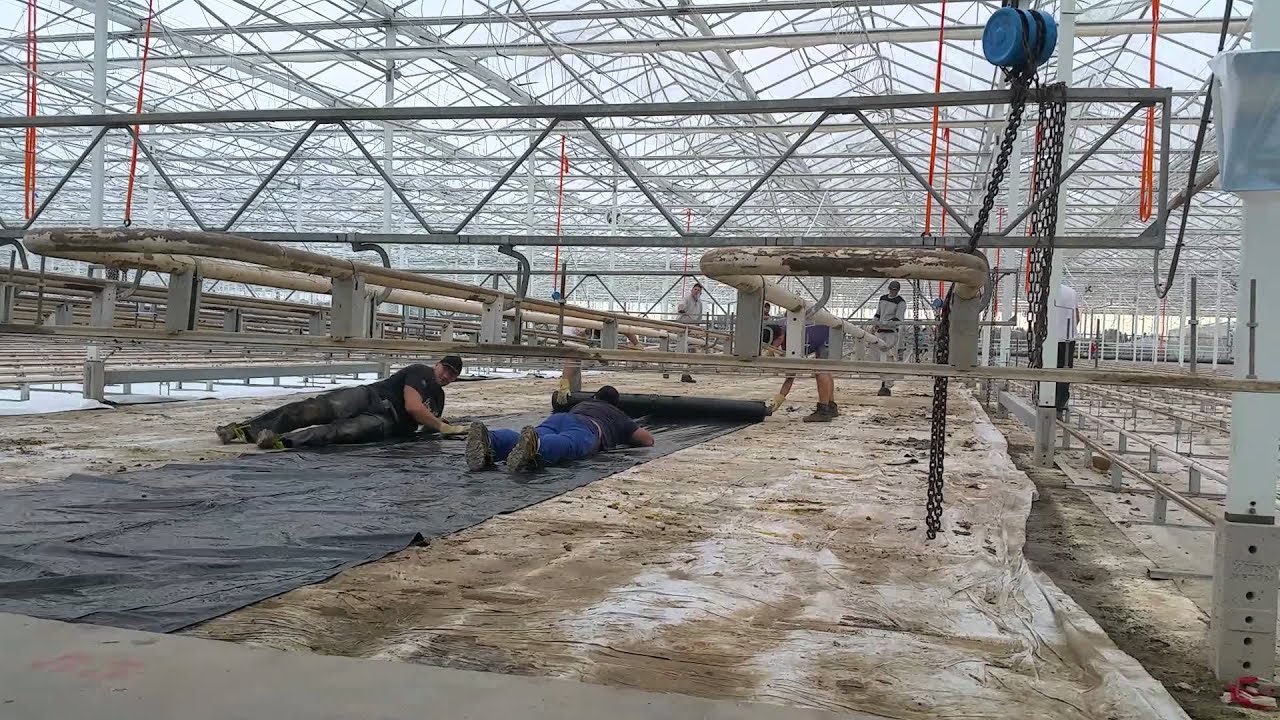 Motreahof gronddoek vervangen