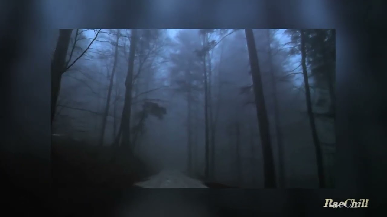 God's Creation - daniel.mp3 // 1 hour loop // rain