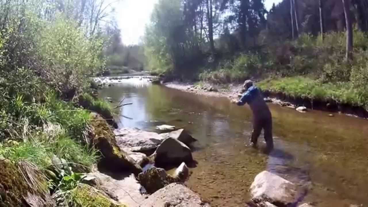 Fliegenfischen an der Laudach