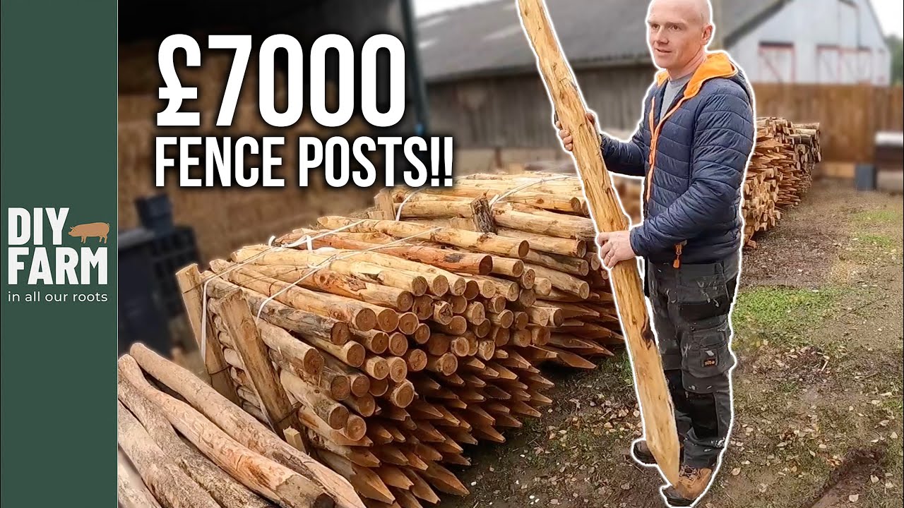 HUGE DELIVERY OF CRAZY FENCE POSTS - Let's hope it's worth it!
