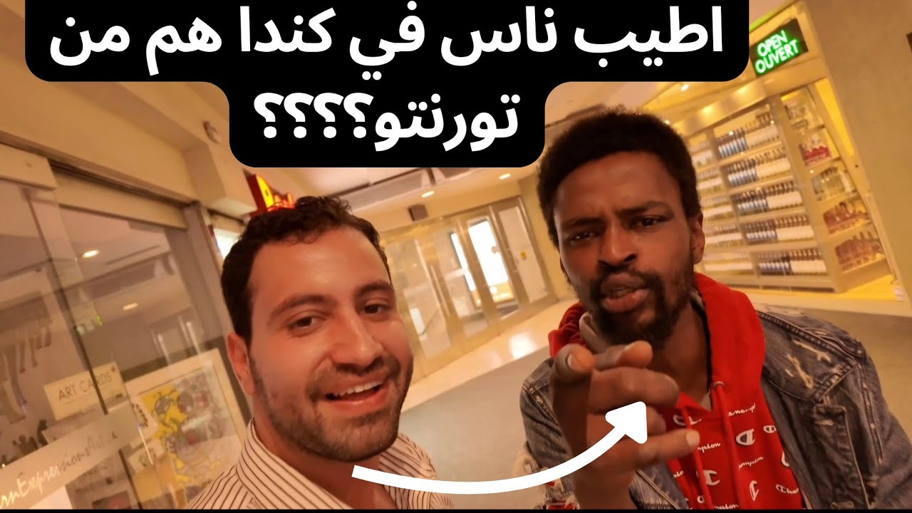 ملخص رحلة تورنتو (شلالات نياجرا، وسط المدينة، برج CN، الجزيرة ).