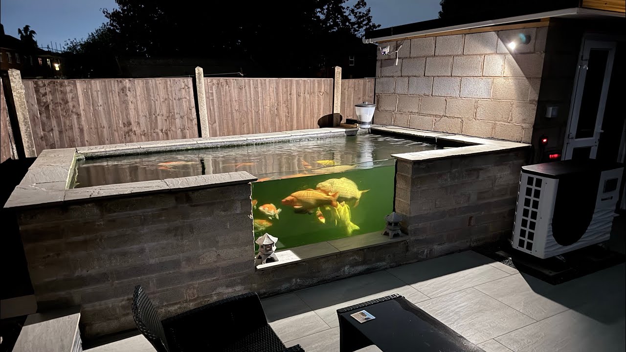 Water feed/waste issues, winter prep and new Goshiki #koi #japanesekoifish #pondbuild 