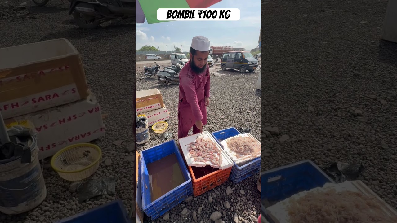 ₹100 Bombil Mumbai | Market Fish Taloja | Wholesale & Retail Fish Market
