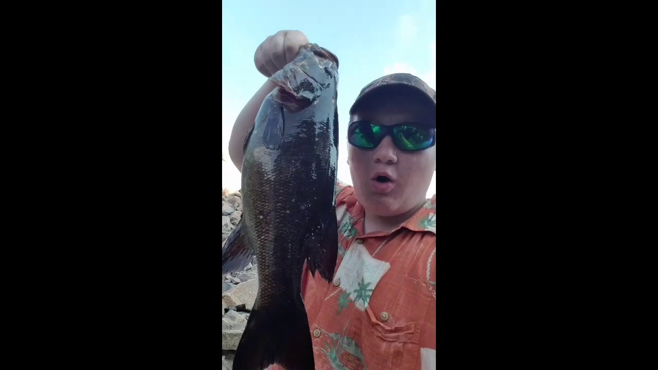 MONSTER SMALLIES IN TINY RIVER