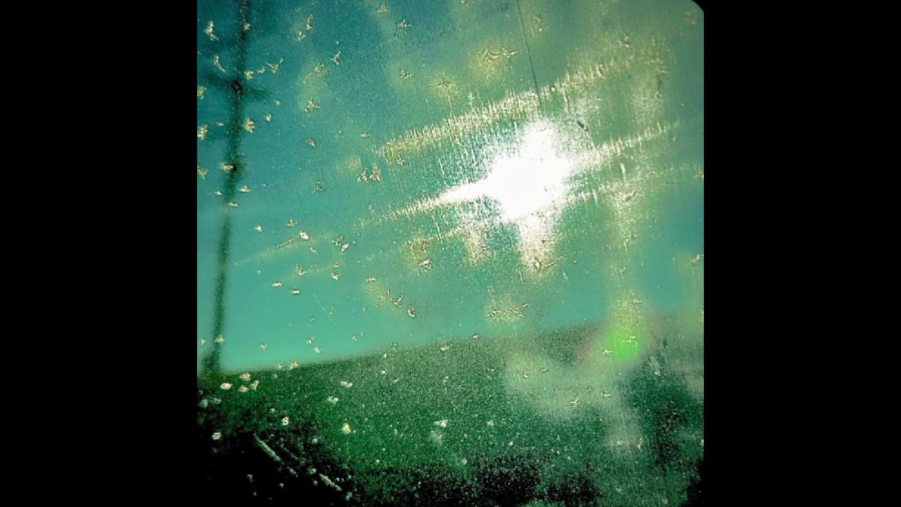Starlight - song #sunset #guitar #lofi #music #producer #acoustic #electricguitar #rain #sunrise