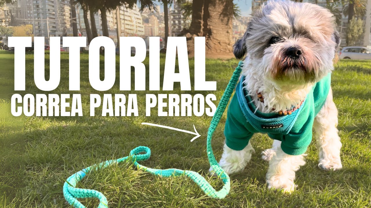 Como hacer una correa para tu perrito 🐶 | Hazlo tu misma | Dog Leash DIY