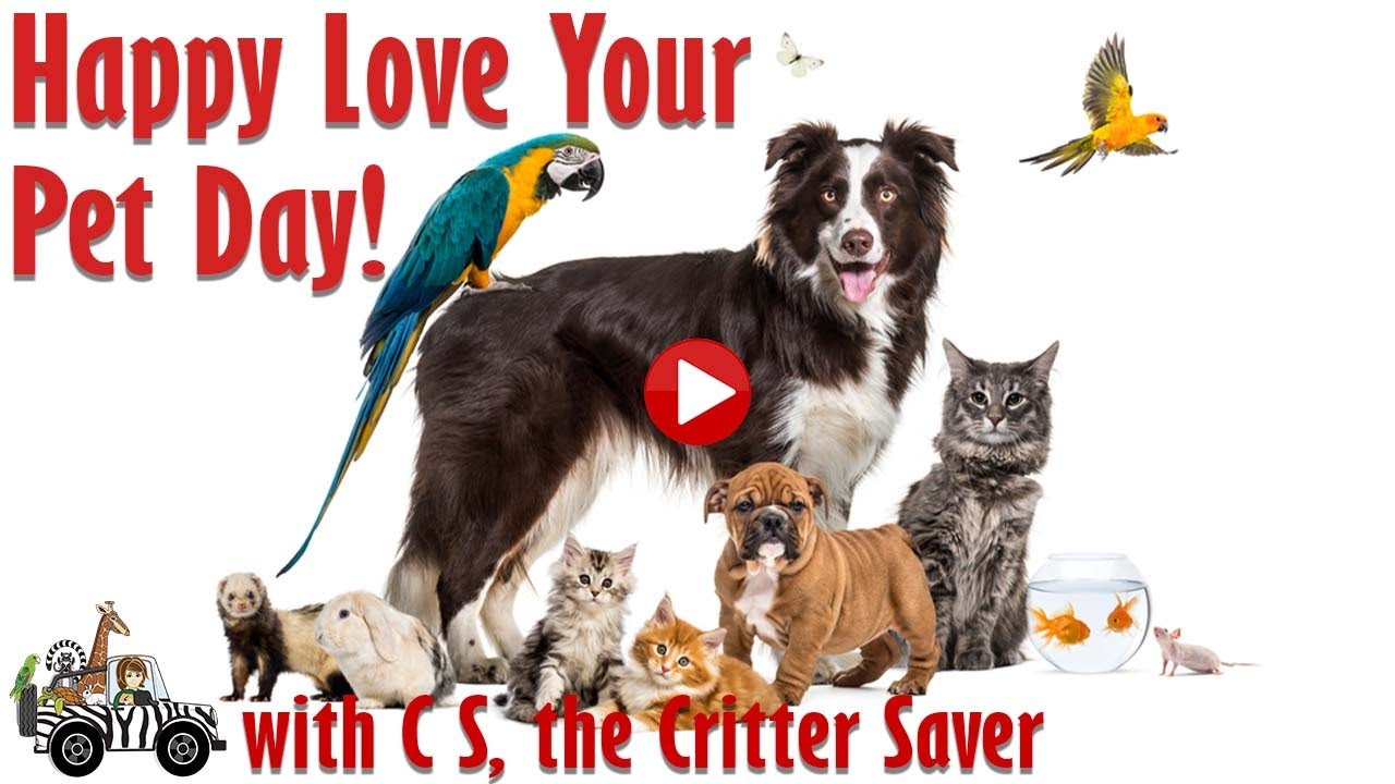 Happy Love Your Pet Day with C S Wurzberger, the Critter Saver