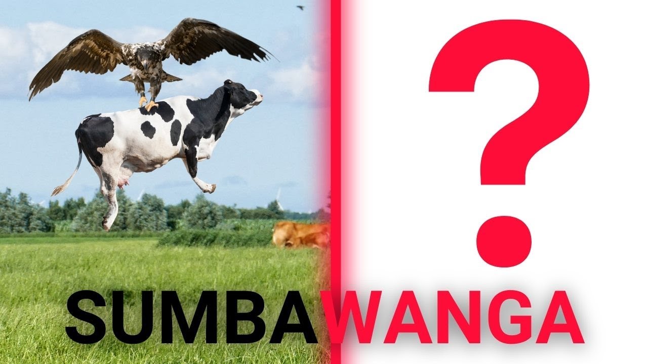 UPANDE ULIOFICHWA  SANA WA SUMBAWANGA(RUKWA) | MKOA TAJIRI WA KUVUTIA ZAIDI #sumbawanga #rukwa