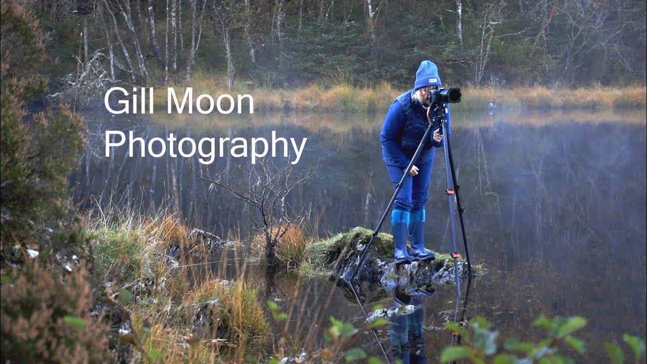Gill Moon Photography / Photo Experiences with Gill Moon