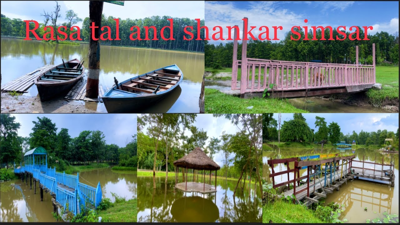 Rasa tal and shankar beli simsar beautiful place#rasa#shankarsimsar#travelnepal#simmachamling#dharan