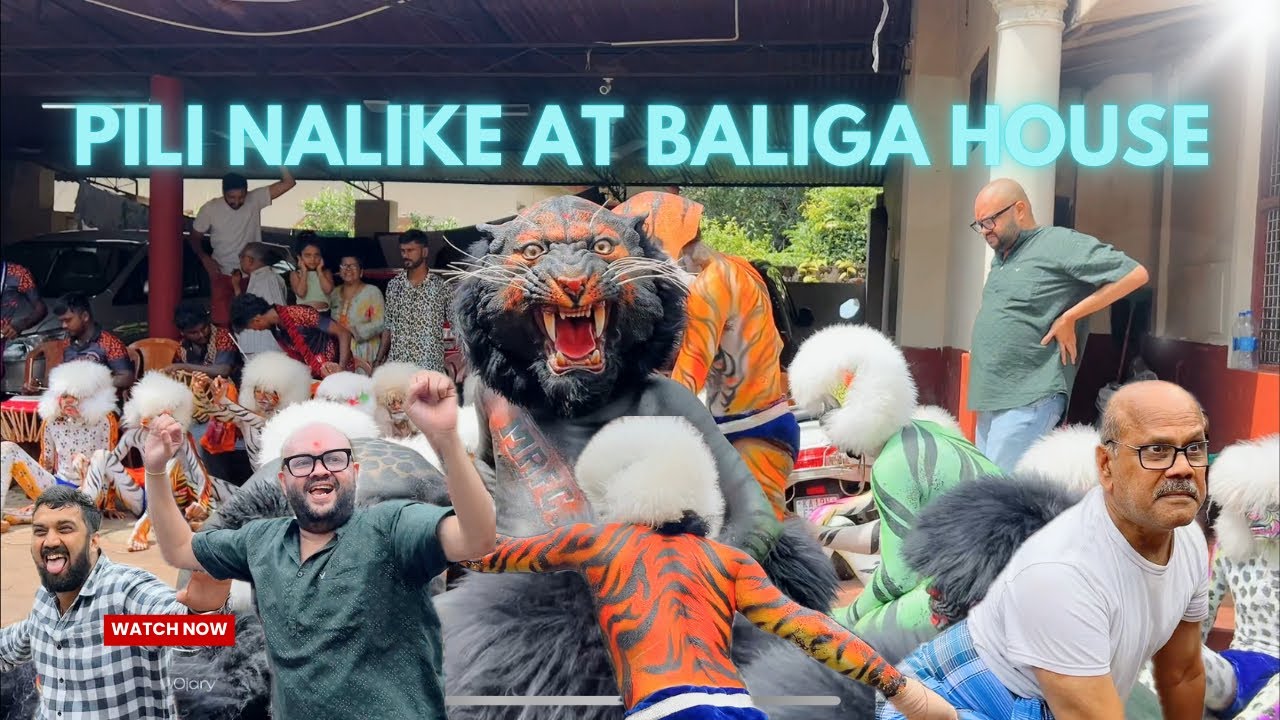 Pili Nalike at BALIGA HOUSE by MRFC TIGERS #pili #pilinalike #tiger #tigerdance #dasara #mangalore