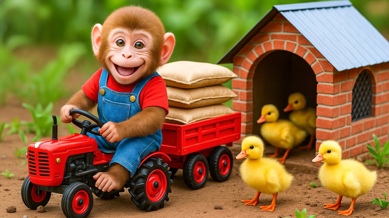 🐒🚜 Baby Monkey Nana Rescues a Car from the Mud and Buys Food for the Adorable Duck! 🦆💛