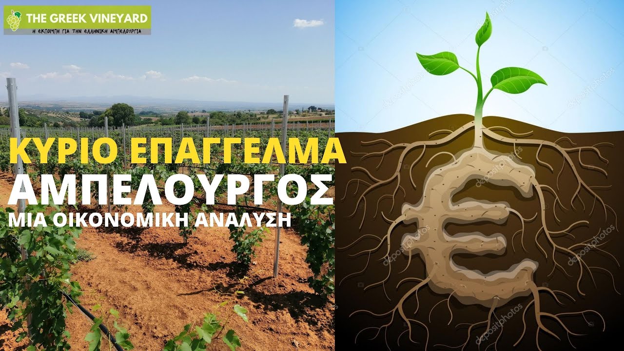 Επάγγελμα Αμπελουργός | Πόσα στρέμματα χρειάζεσαι για κύριο επάγγελμα;