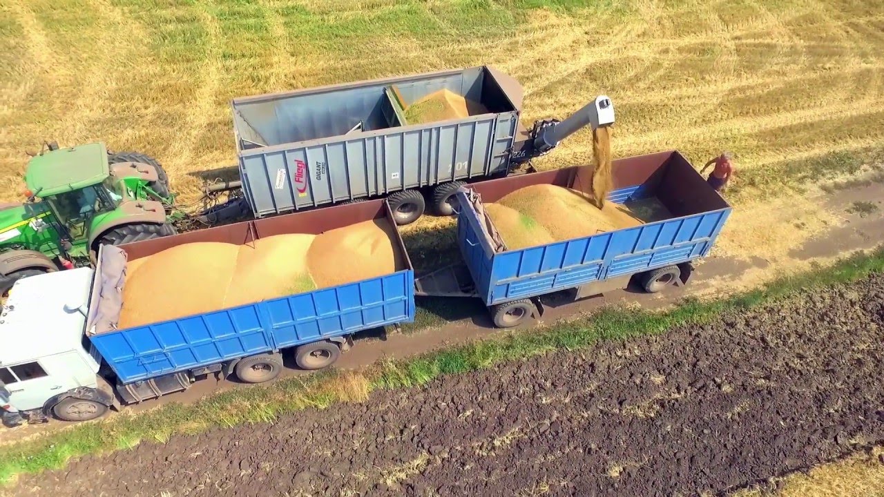 Уборка пшеницы. CLAAS Tucano 480, Fliegl Gigant ASW 270