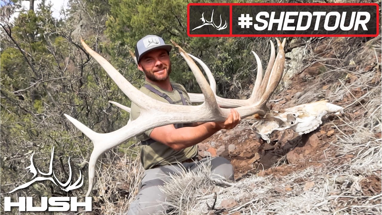 SHED TOUR | HUGE DEAD HEAD AND ELK SHEDS | S4E08