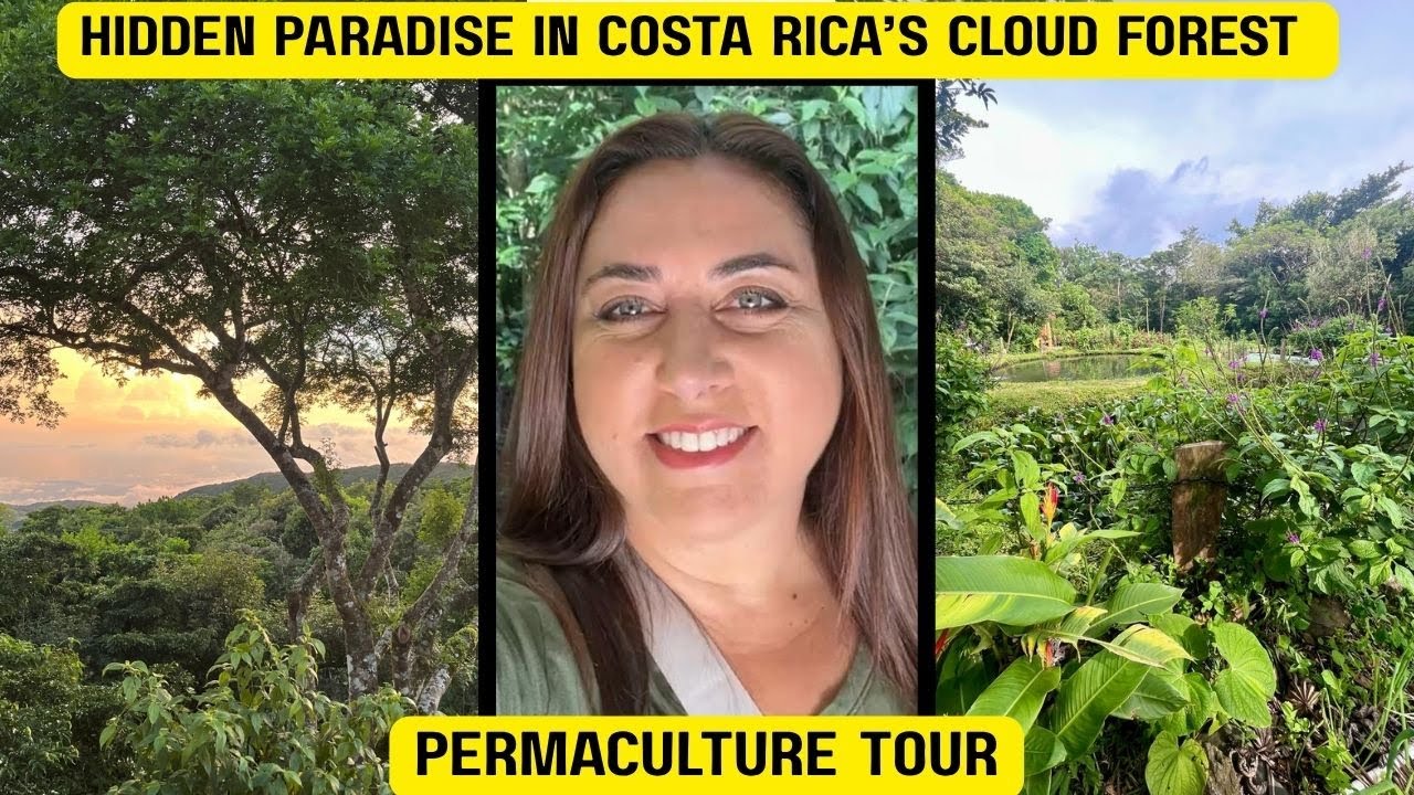 Permaculture Tour in Costa Rica’s Cloud Forest 🌿 | Valle Escondido Nature Reserve