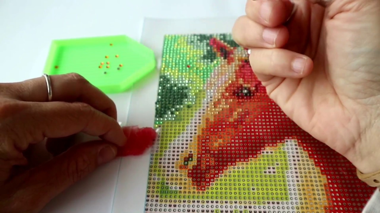 Diamond painting van de Action.