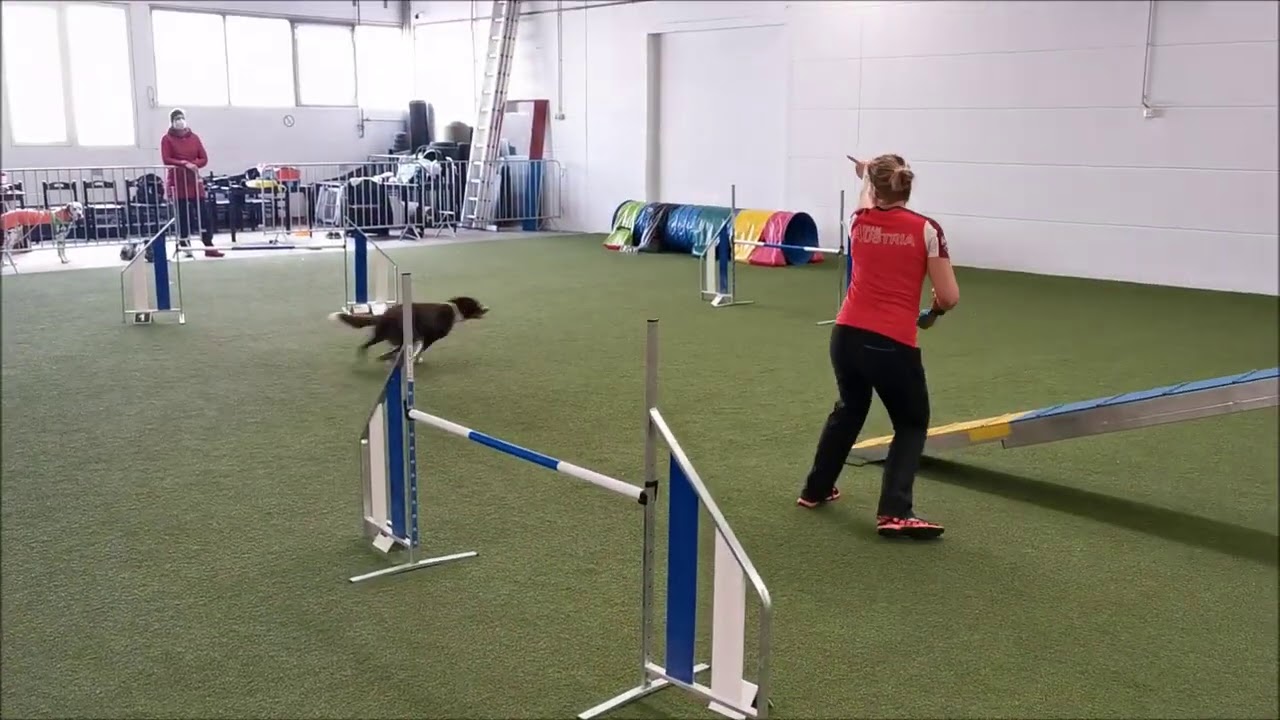 Training Taco, Jack & Hash