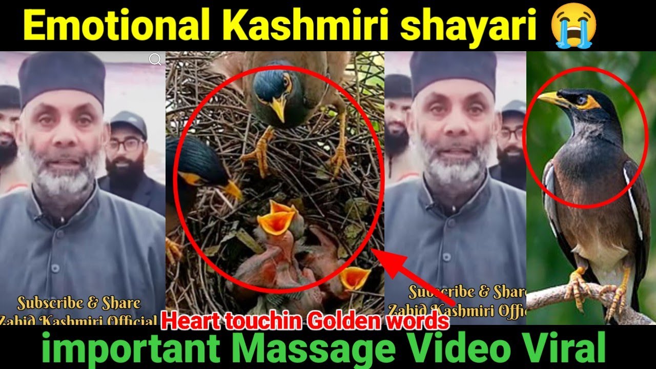 Emotional Kashmiri shayari 😭