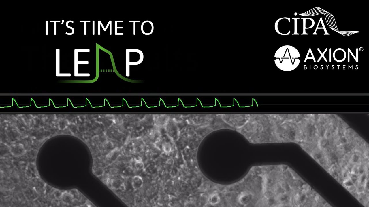 What is LEAP?