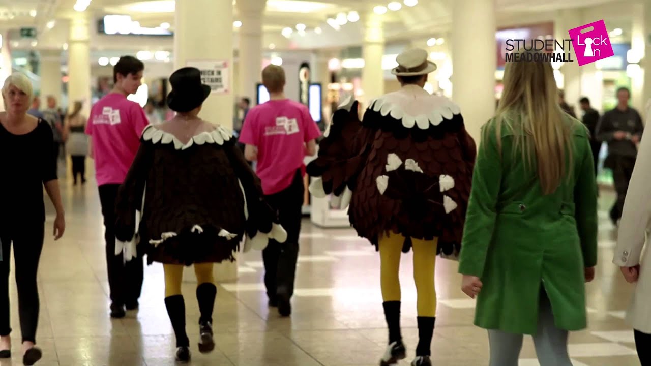 Meadowhall Spring Student Lock In 2014