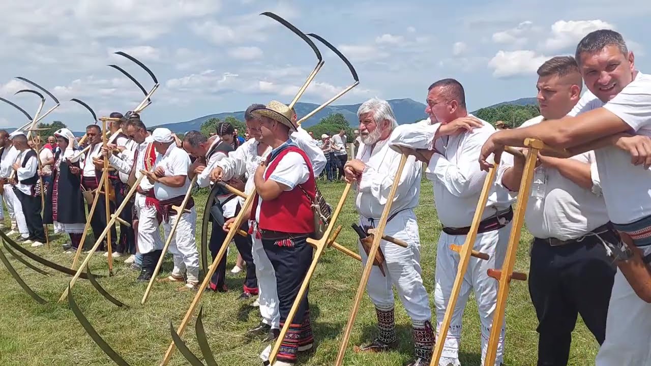 Tradicionalni Dani kosidbe/strljanice na Kupresu 2024.g.
