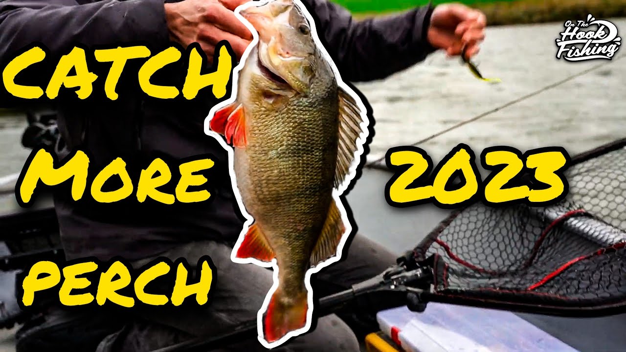 2023's BEST PERCH LURES REVEALED
