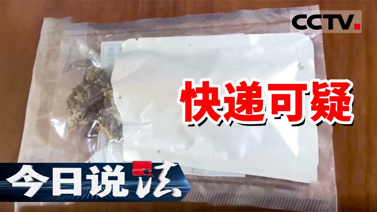 《今日说法》快递小哥上门送件嗅出异常果断报警！文件袋里竟藏大麻！20250731 | CCTV今日说法官方频道