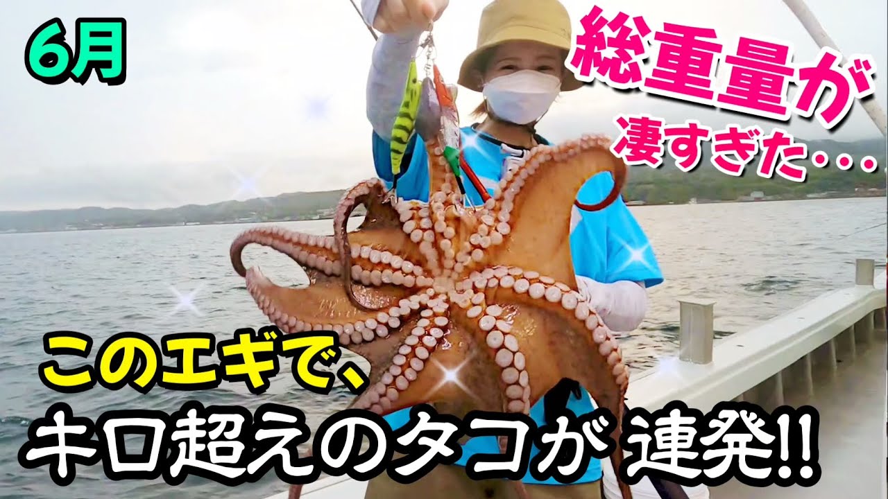 【爆釣‼︎】爆釣し過ぎて、楽し過ぎた♡ キロアップ連発‼︎ 【タコ エギング】