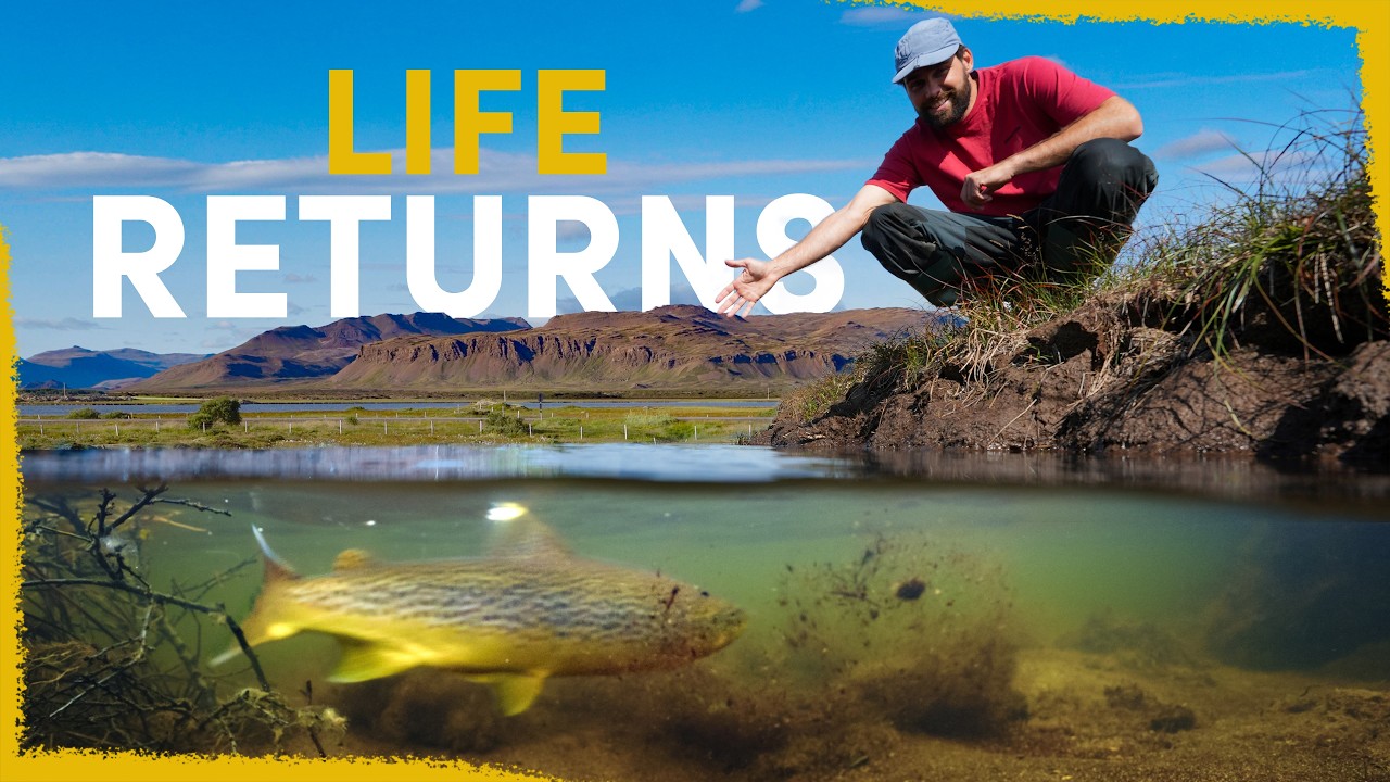 This wetland was broken. So we fixed it.