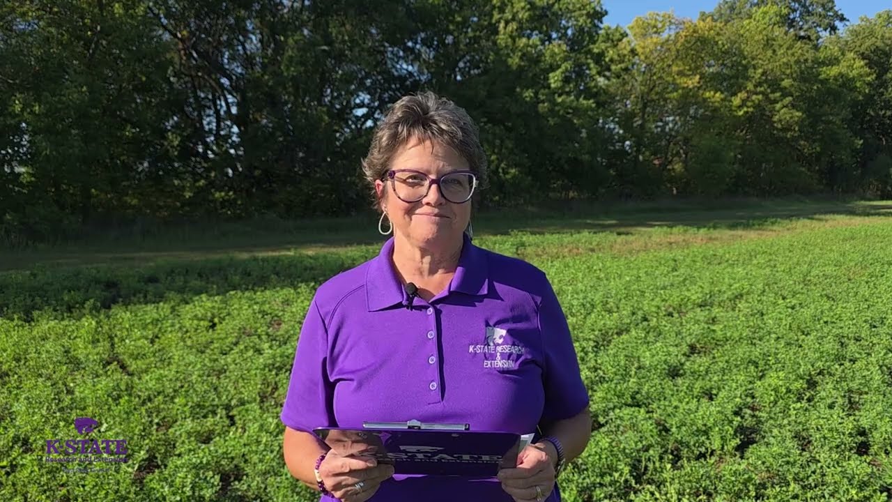 Scouting For The Fall Armyworm