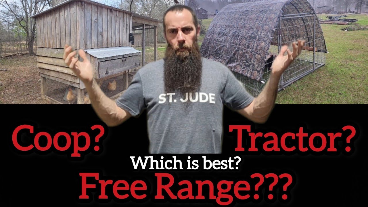 Chicken Coop Comparisons for Beginners: Coop vs Tractor vs Free Range