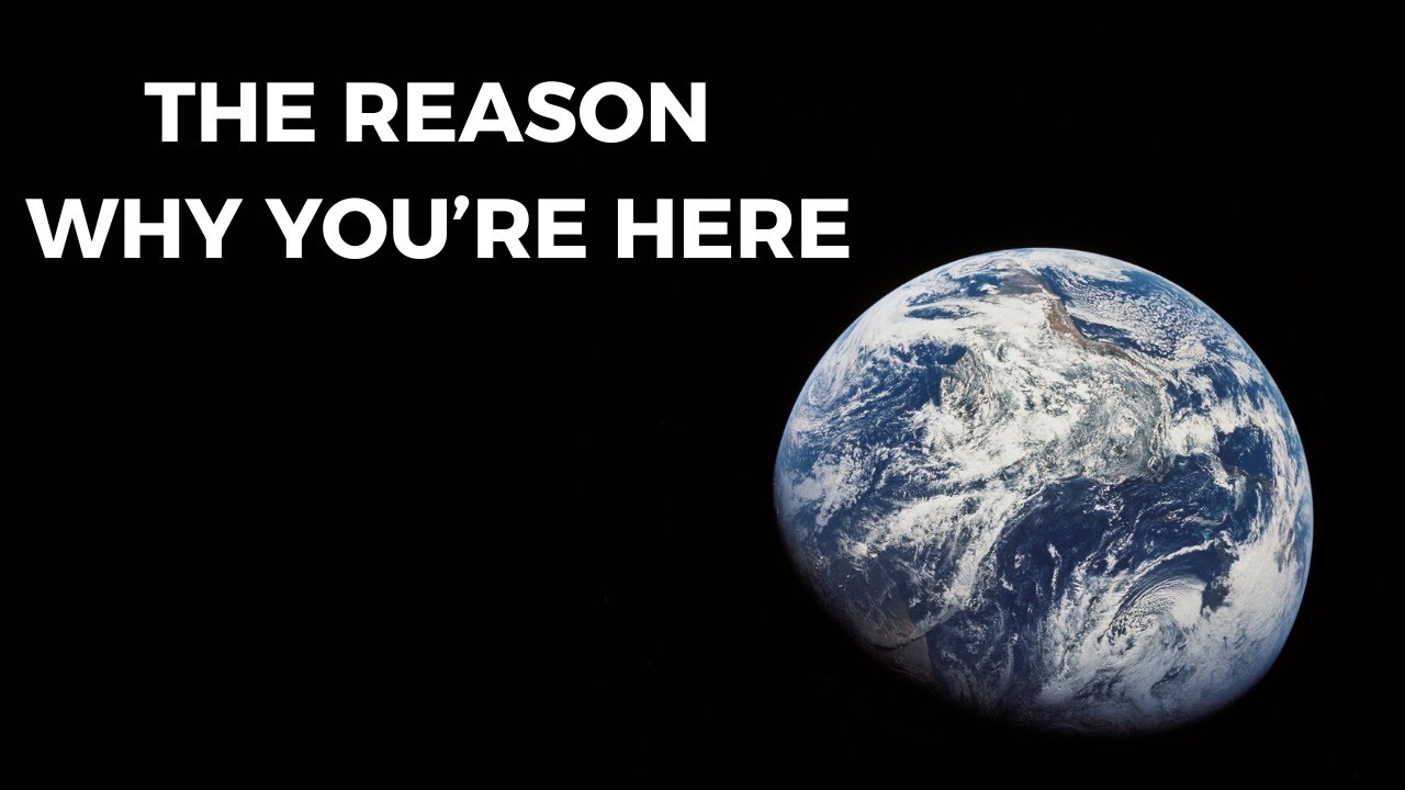 If You Don’t Know Why You’re Here, This Is for You