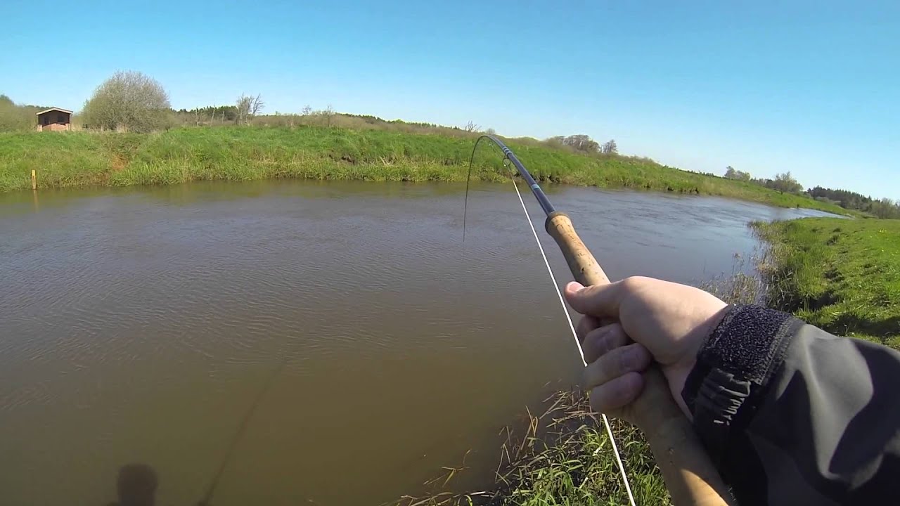 Stor&aring; laks - salmon caught on fly rod