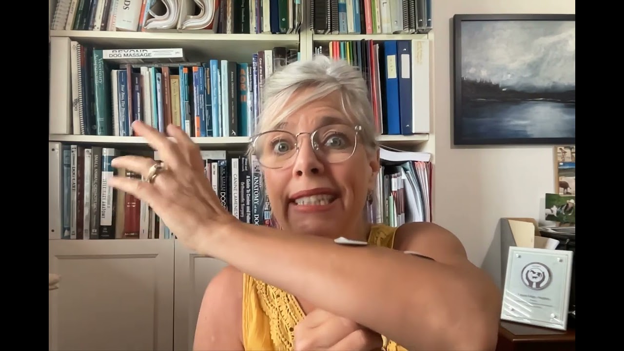 FourLegRehabMinute-NMES-ActiveOrPassive